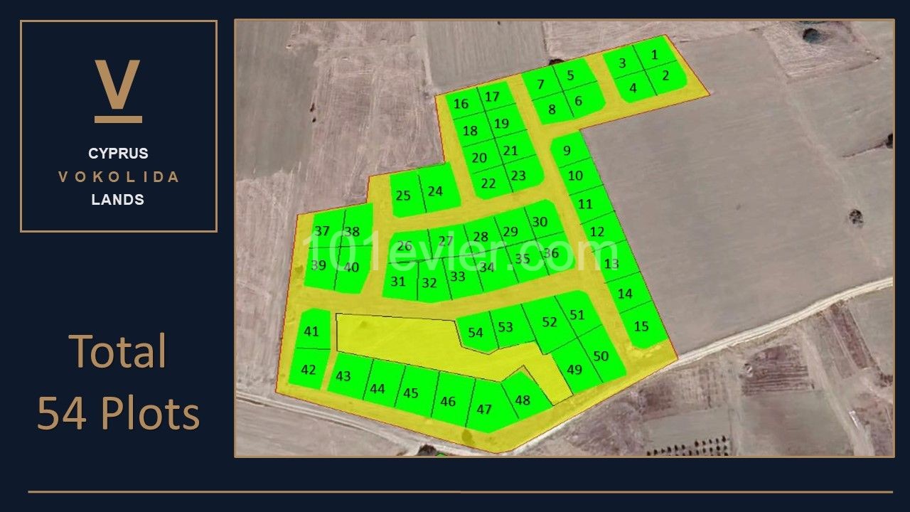 MOST PROFITABLE INVESTMENT OPPORTUNITES  ( PLOTS ) IN BAFRA AREA........SOLE AGENT