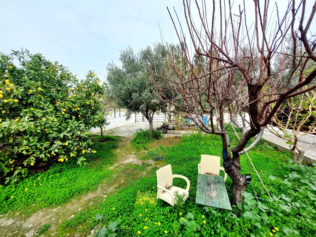 Semi-detached villa for sale in Girne Karaoğlanoğlu (near Gau)