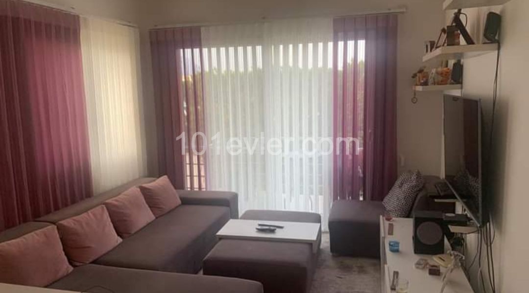 GIRNE, ALSANCAK, MONTHLY 375 STG , 1+1