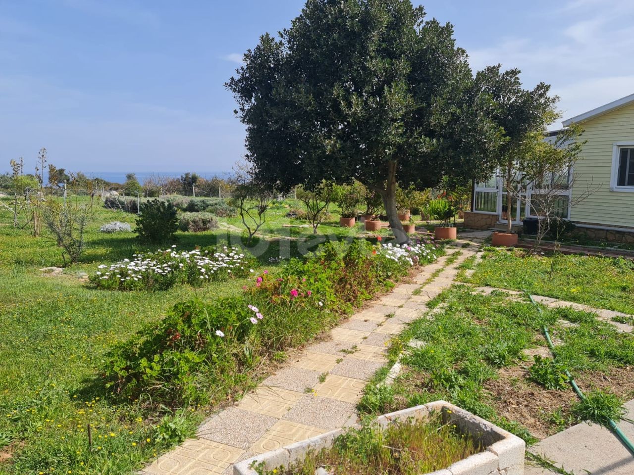 Land for sale in Girne Arapkoy ** 