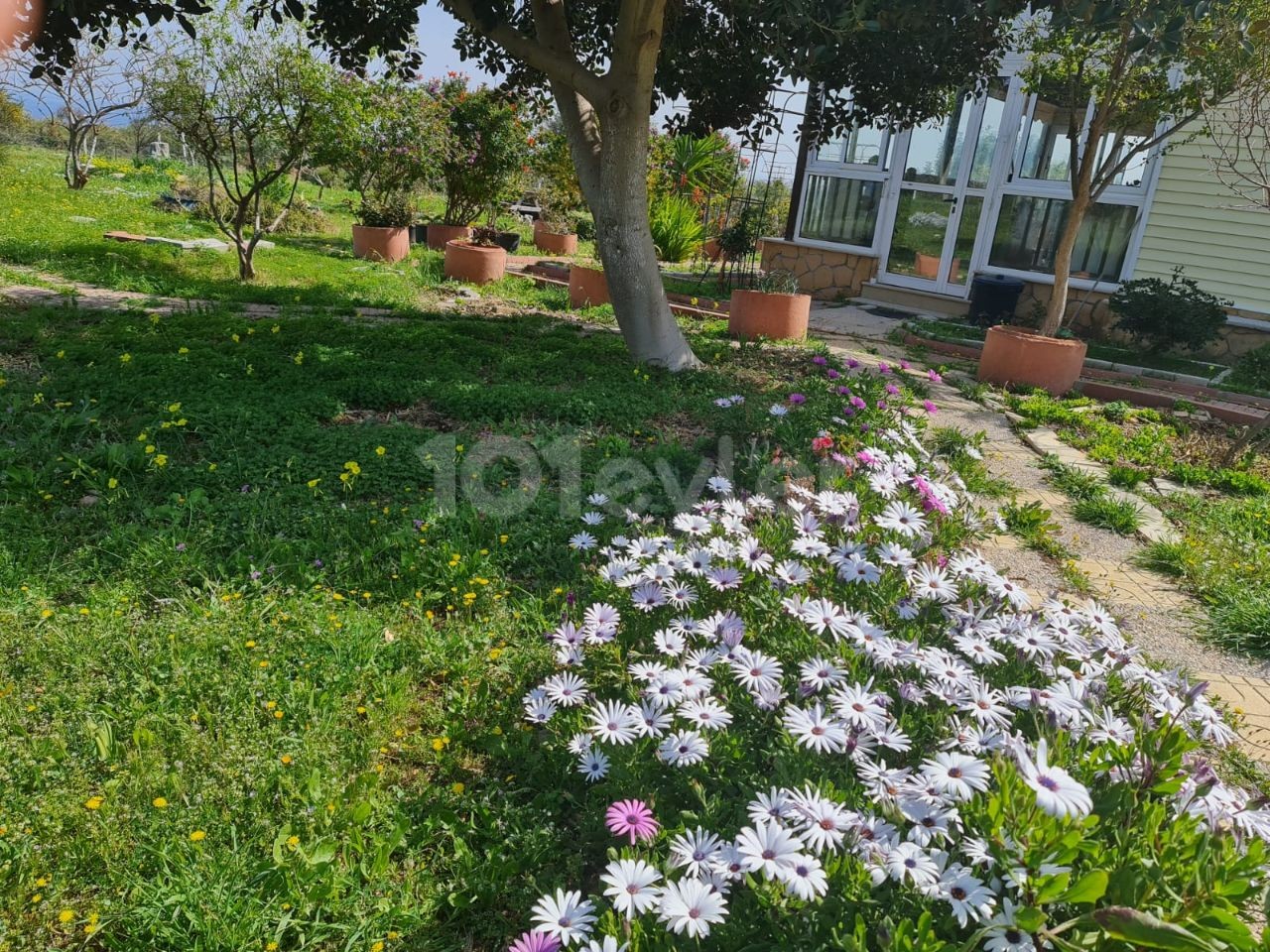 Land for sale in Girne Arapkoy ** 