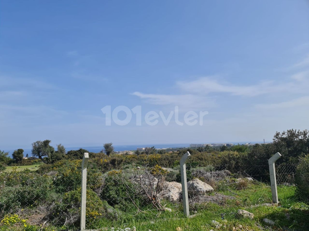 Land for sale in Girne Arapkoy ** 