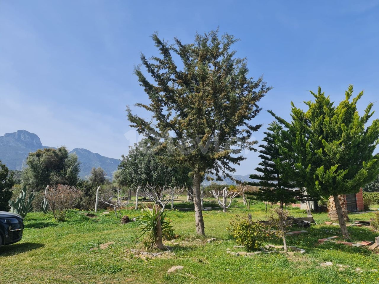 Land for sale in Girne Arapkoy ** 