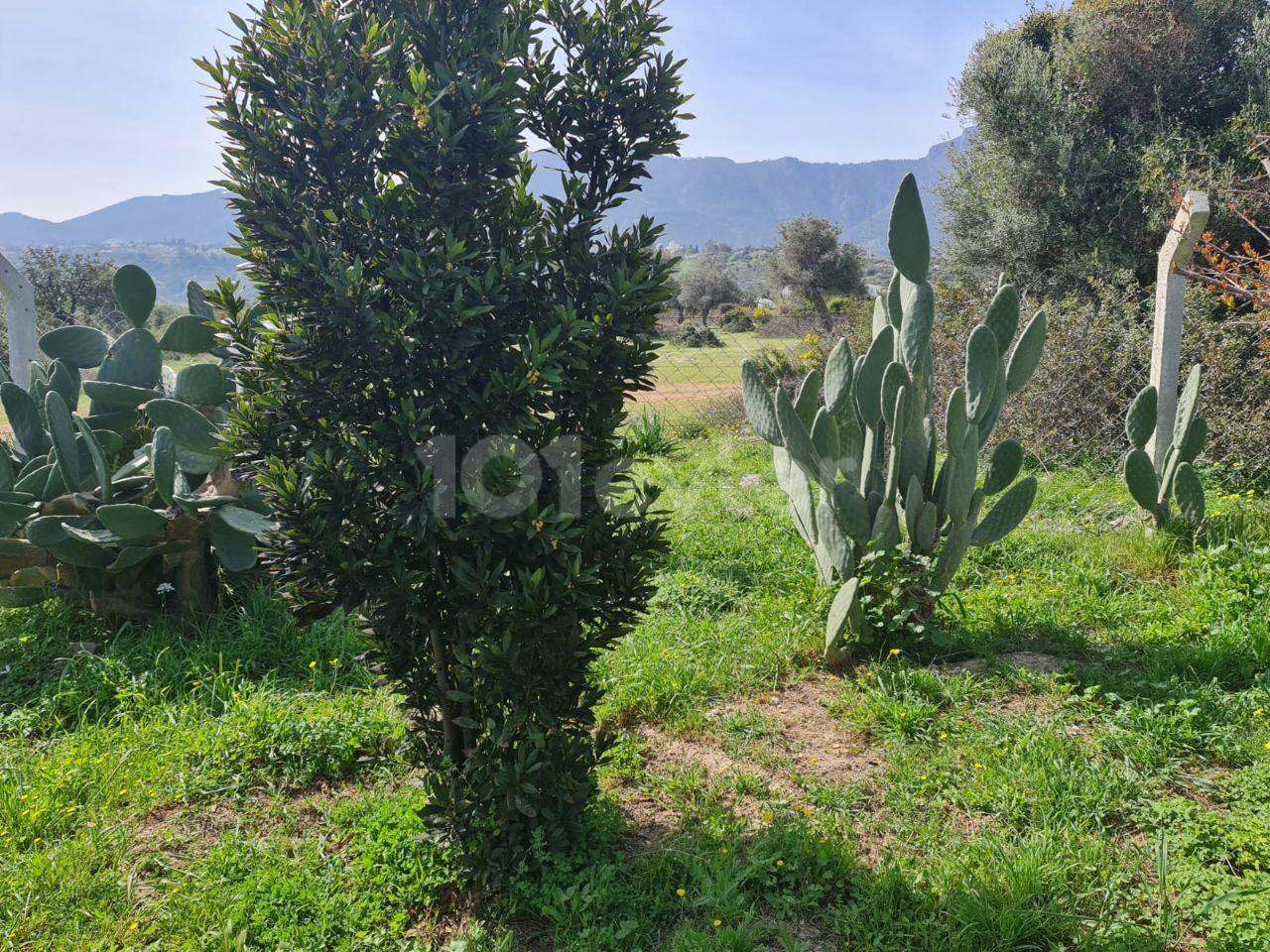 Land for sale in Girne Arapkoy ** 