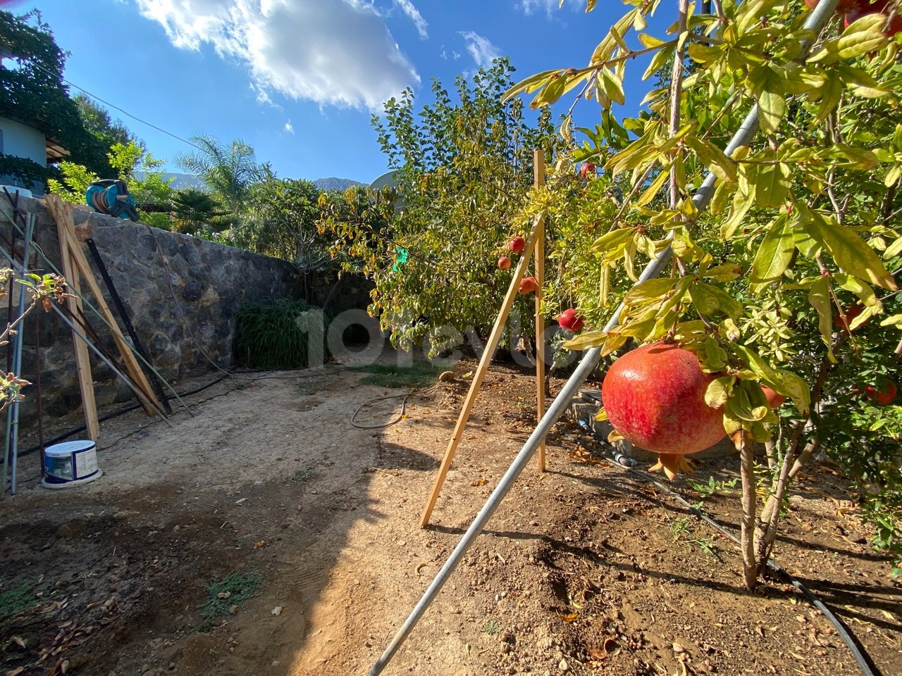 Sie möchten auf Zypern fast Autark mit niedrigen Energie und Wasserkosten leben, einem Garten der groß genug ist um sich selbst zu versorgen?