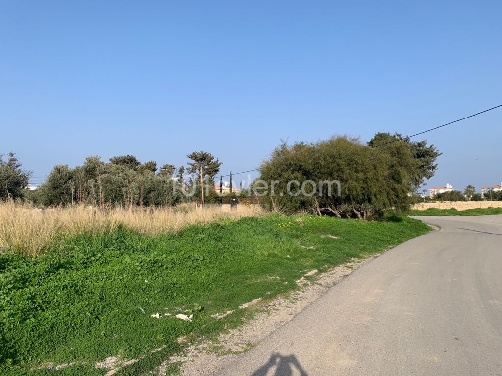 LAND SUITABLE FOR CONSTRUCTION OF A VILLA 400 METERS FROM THE SEA ON THE BOTTOM OF KARŞIYAKA MAIN ROAD ** 