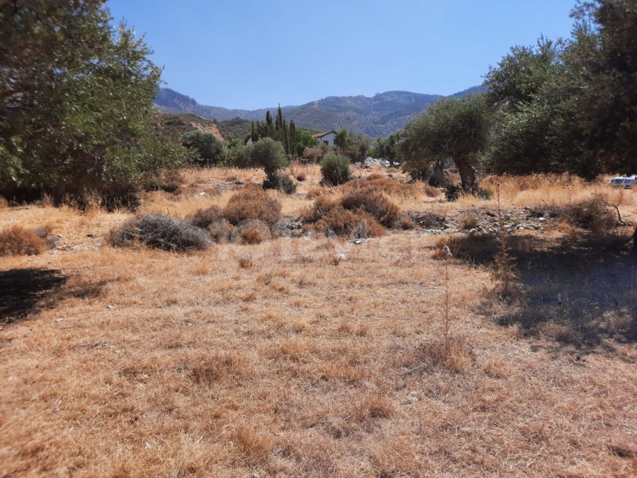 LAND FOR SALE IN ALSANCAK NECAT BRITISH COLLEGE REGION ** 