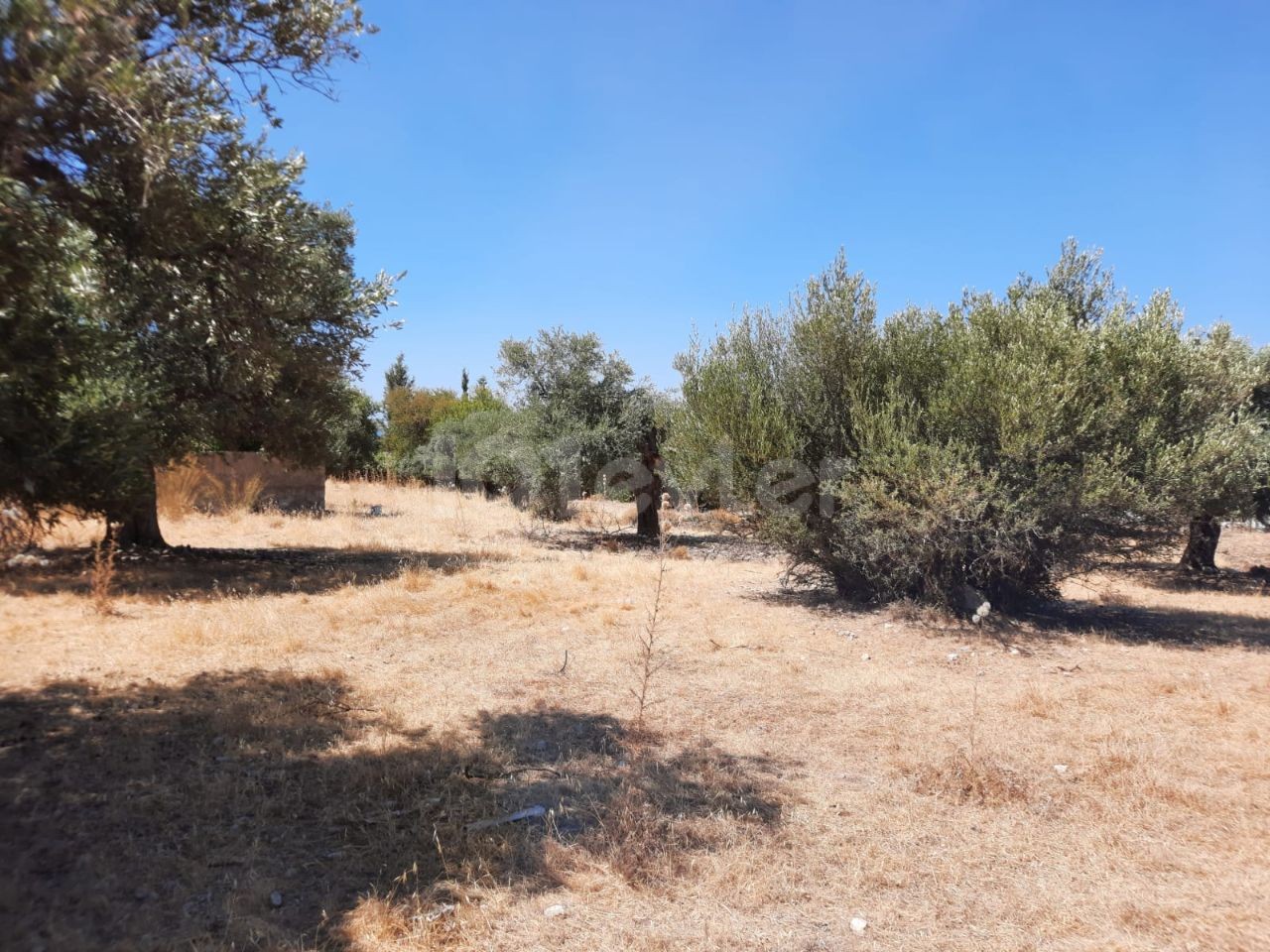 LAND FOR SALE IN ALSANCAK NECAT BRITISH COLLEGE REGION ** 