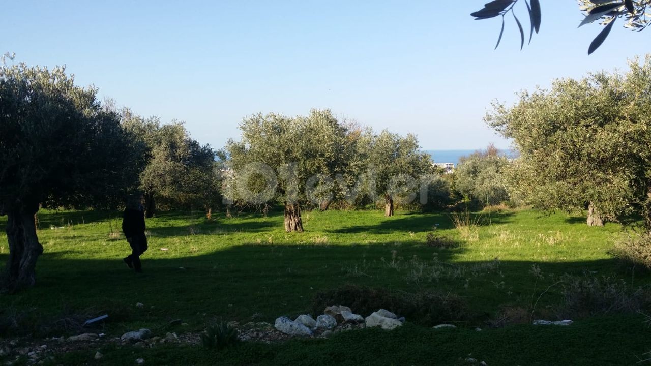 LAND FOR SALE 100 METERS FROM ALSANCAK Decat BRITISH COLLEGE ** 