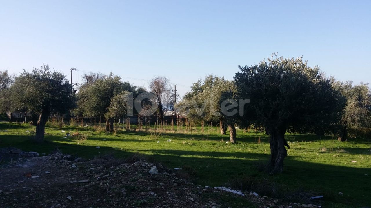 LAND FOR SALE 100 METERS FROM ALSANCAK Decat BRITISH COLLEGE ** 