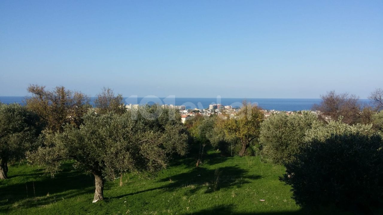 LAND FOR SALE 100 METERS FROM ALSANCAK Decat BRITISH COLLEGE ** 