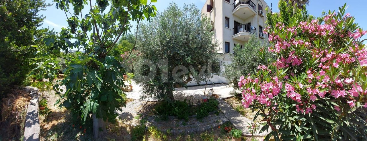 COMPLETE APARTMENT FOR SALE IN LAPTA TURKISH NEIGHBORHOOD