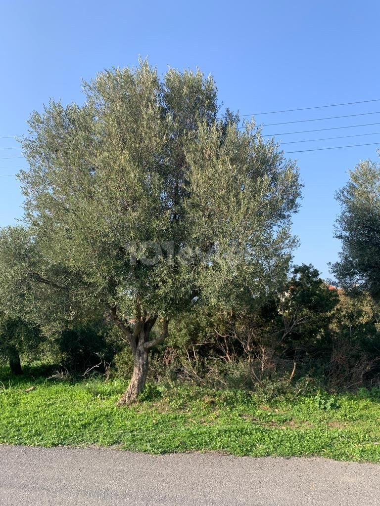 Residential Zoned Plot For Sale in Karşıyaka, Kyrenia