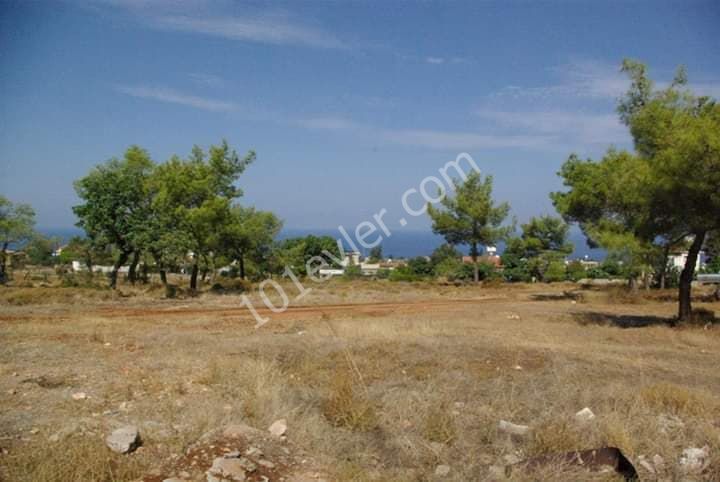 Villa For Sale in Esentepe, Kyrenia