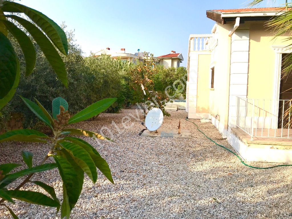 GIRNE CATALKOYDE ,MUSTAKIL  VILLA, DENIZE 100M , HAVUZLU ,3 YATAK ODALI,SHAYNA BEACH ,CORNARO BEACH CIVARI  TEL: 0542 8671000