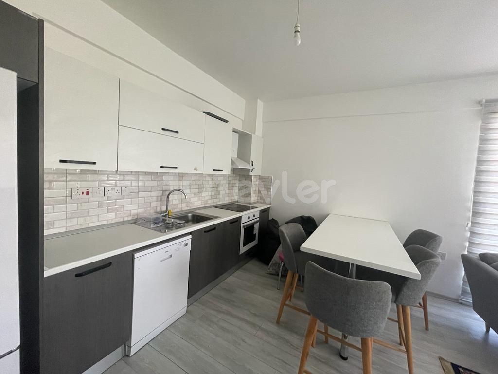 2 + 1 Apartments for Rent in Kyrenia Dogankoy ** 