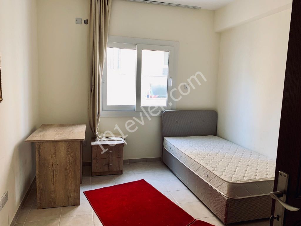 Flat To Rent in Hamitköy, Nicosia