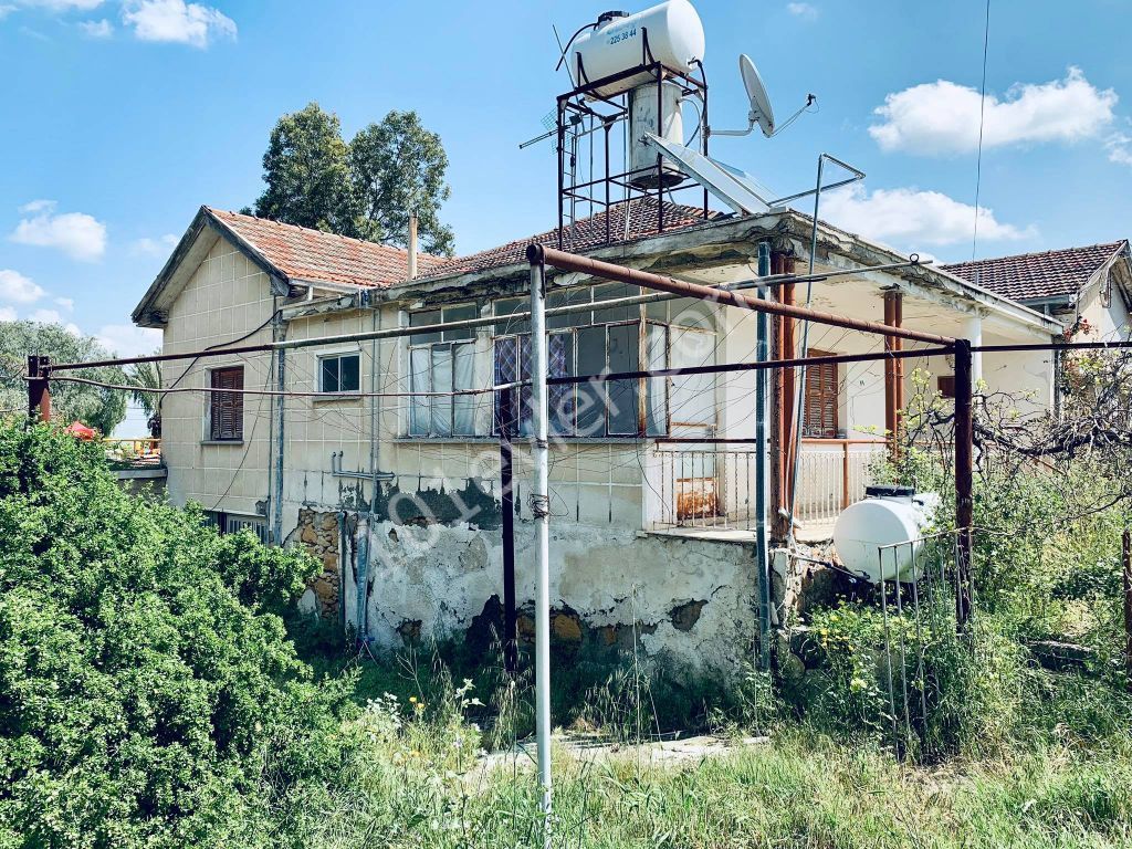 Einfamilienhaus Kaufen in Alayköy, Nikosia