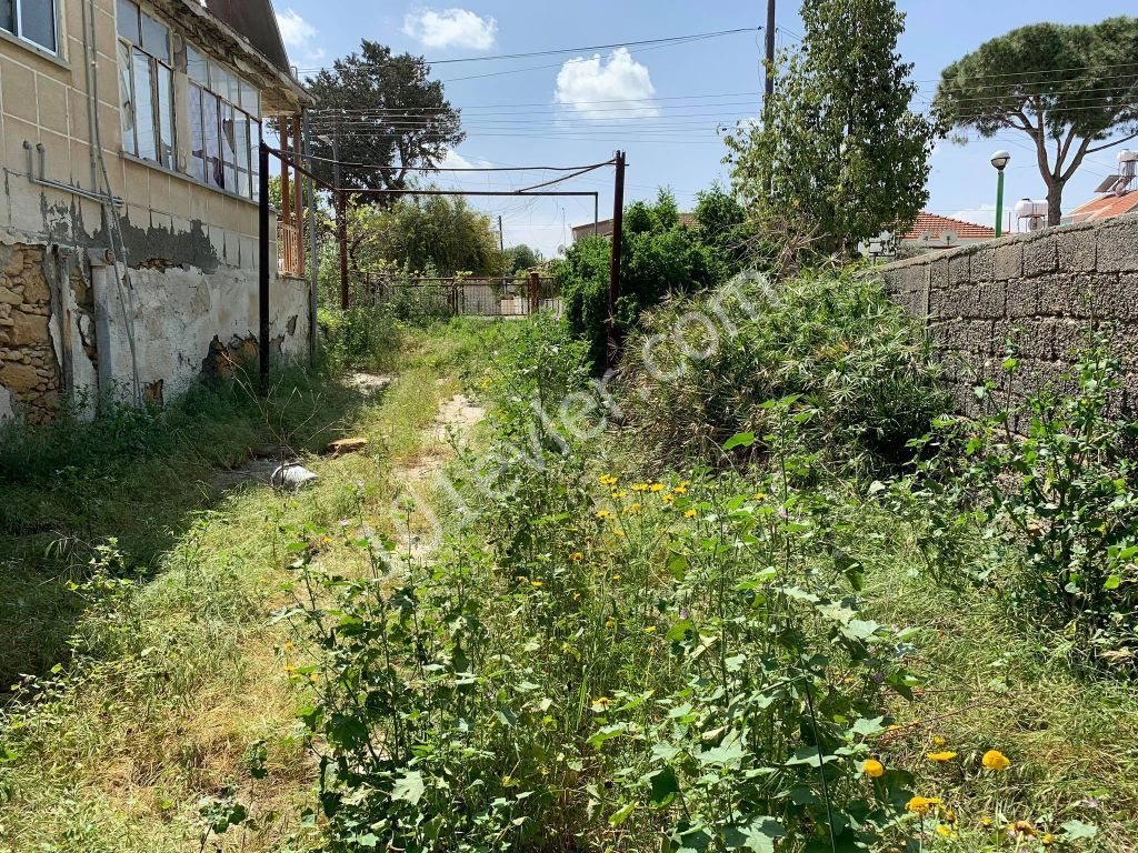 Einfamilienhaus Kaufen in Alayköy, Nikosia