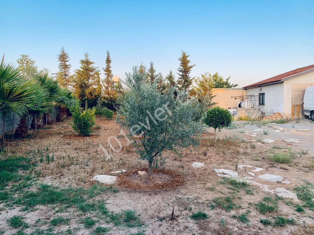 Detached House For Sale in Alayköy, Nicosia