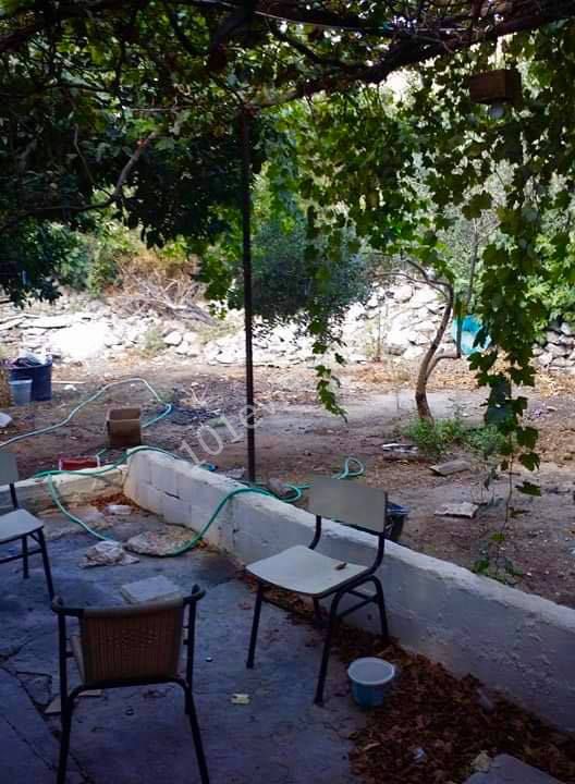 Einfamilienhaus Kaufen in Değirmenlik, Nikosia