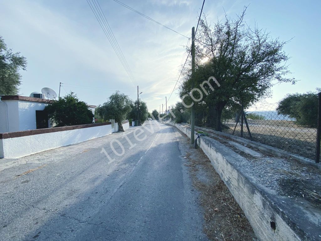 Eben Kaufen in Kozan, Kyrenia