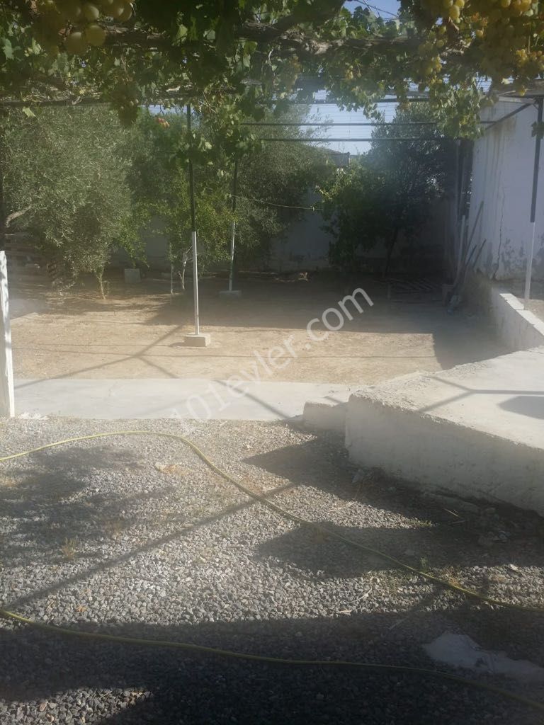 Detached House For Sale in Meriç, Nicosia