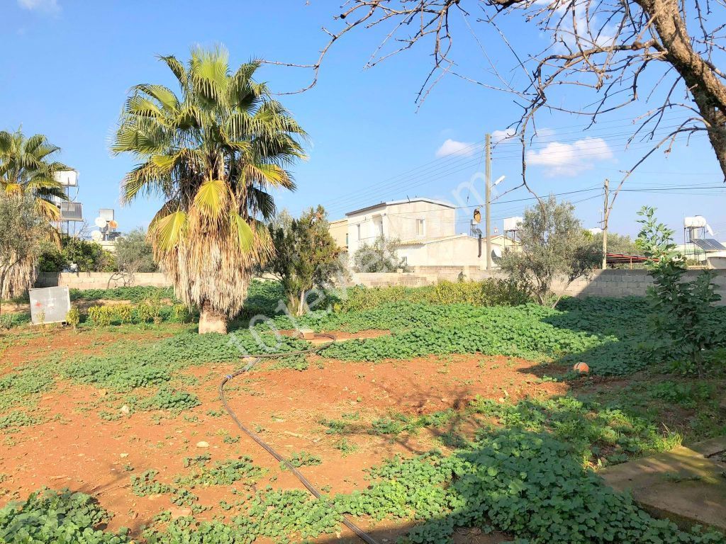 Detached House For Sale in Paşaköy, Famagusta