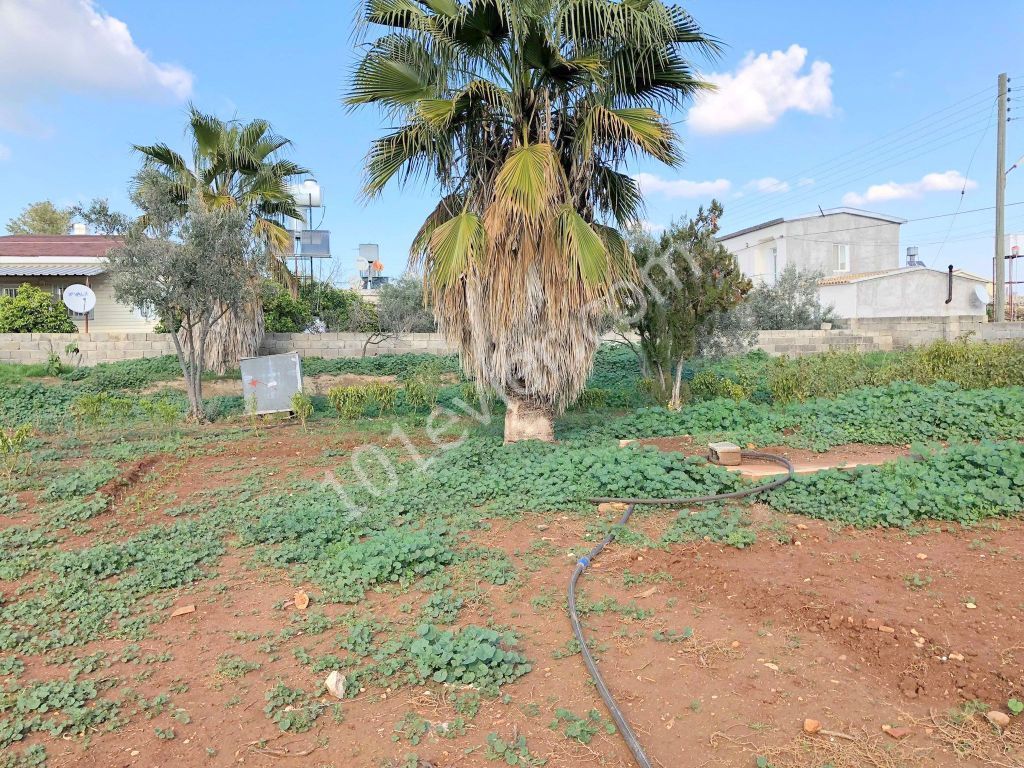 خانه مستقل برای فروش in Paşaköy, فاماگوستا