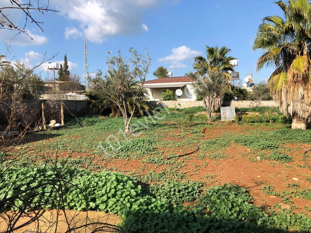 Einfamilienhaus Kaufen in Paşaköy, Famagusta