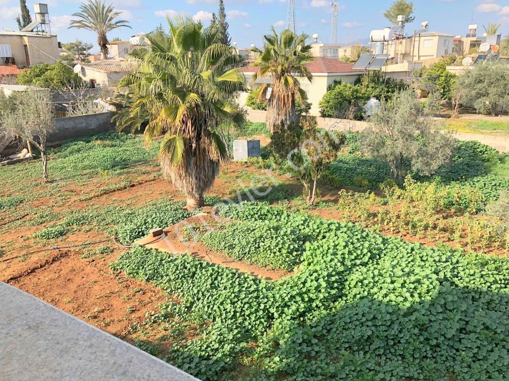 خانه مستقل برای فروش in Paşaköy, فاماگوستا