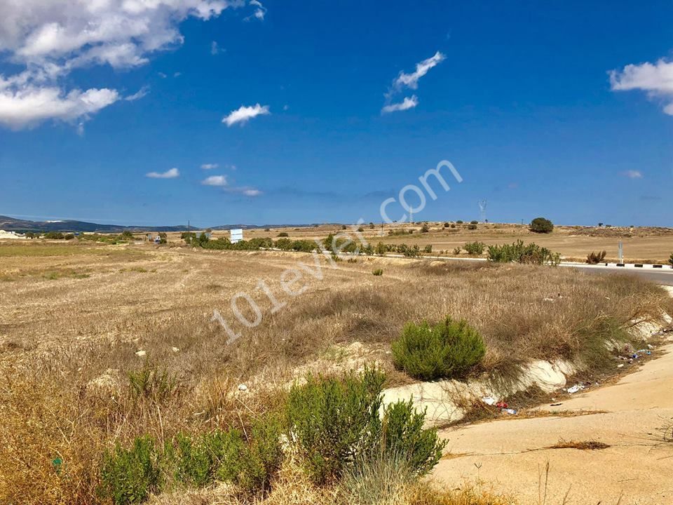 7 ACRES OF 3 EVLEK TURKISH LAND FOR SALE ON THE KARPAZ HIGHWAY ** 