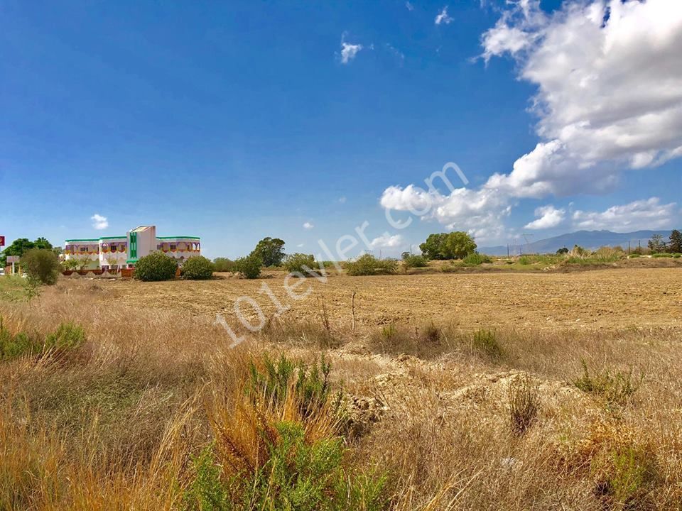 7 ACRES OF 3 EVLEK TURKISH LAND FOR SALE ON THE KARPAZ HIGHWAY ** 