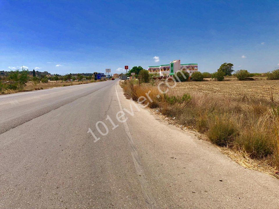 7 ACRES OF 3 EVLEK TURKISH LAND FOR SALE ON THE KARPAZ HIGHWAY ** 