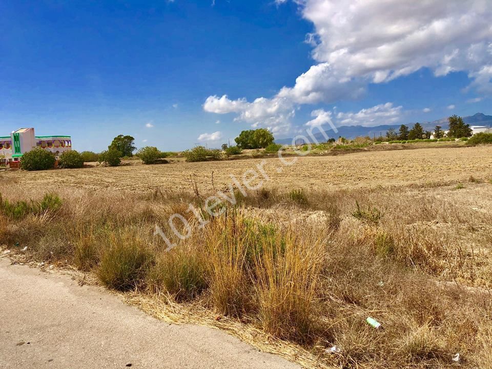 7 ACRES OF 3 EVLEK TURKISH LAND FOR SALE ON THE KARPAZ HIGHWAY ** 