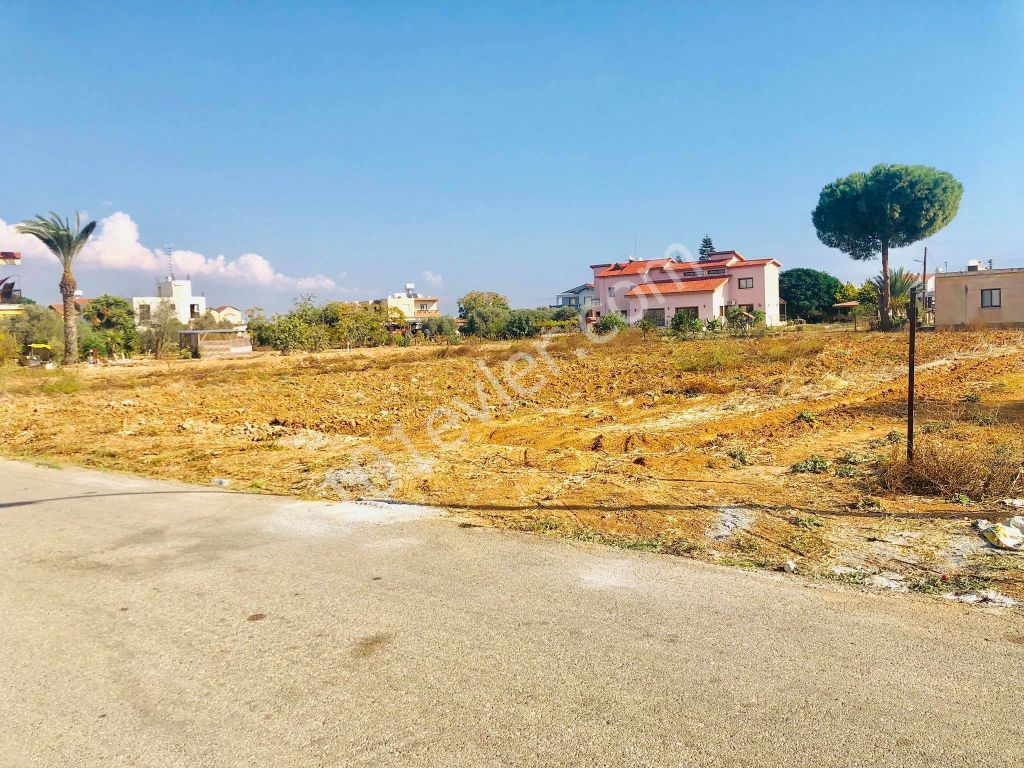 2 DECARES OF LAND FOR SALE IN MORMENEKSHEDE QUALIFIED FIELD ** 