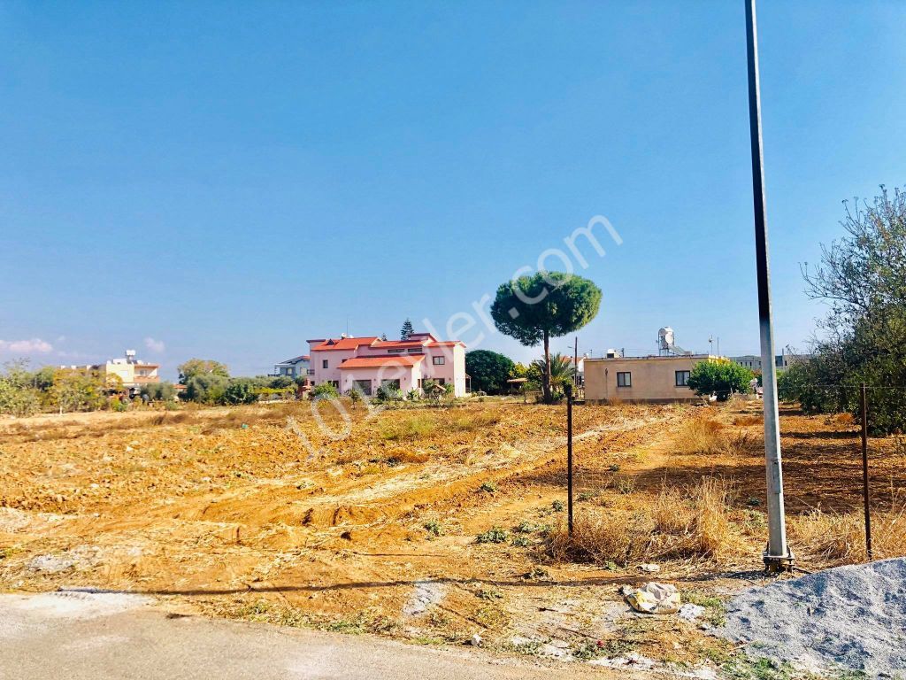 2 DECARES OF LAND FOR SALE IN MORMENEKSHEDE QUALIFIED FIELD ** 