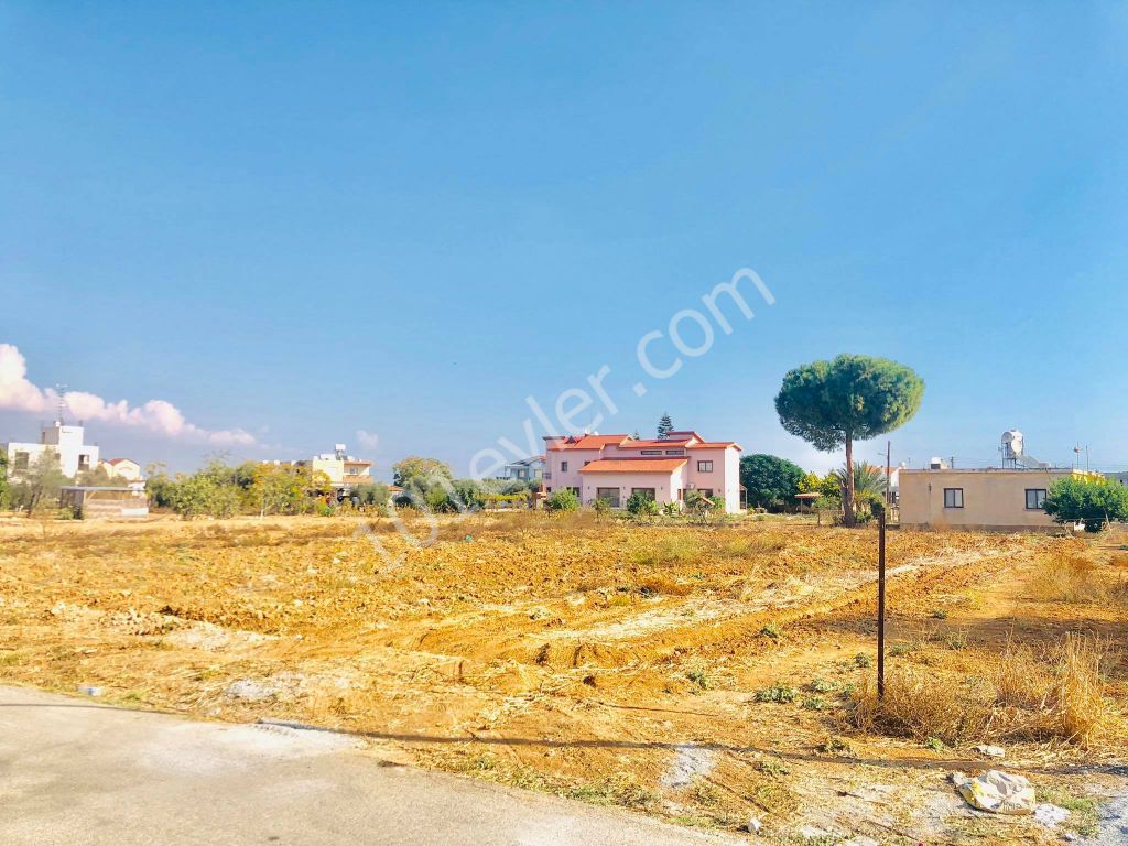 2 DECARES OF LAND FOR SALE IN MORMENEKSHEDE QUALIFIED FIELD ** 