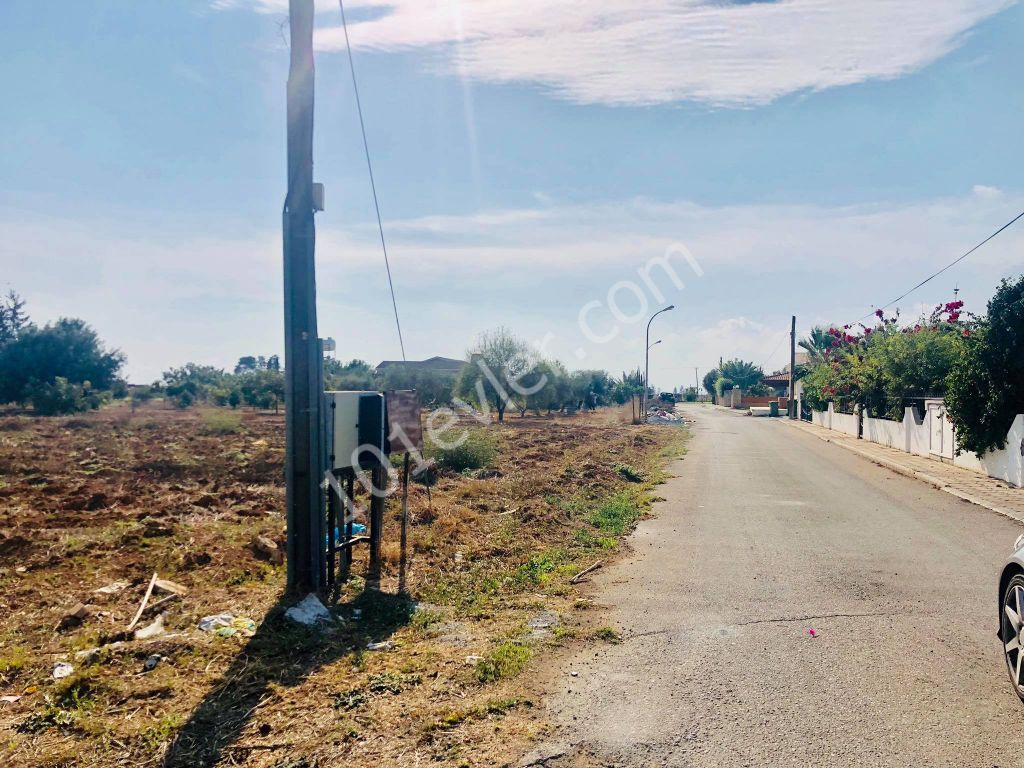 2 DECARES OF LAND FOR SALE IN MORMENEKSHEDE QUALIFIED FIELD ** 