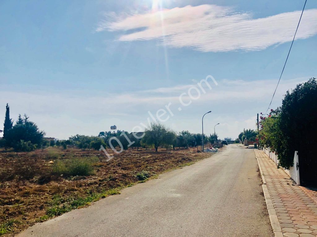 2 DECARES OF LAND FOR SALE IN MORMENEKSHEDE QUALIFIED FIELD ** 