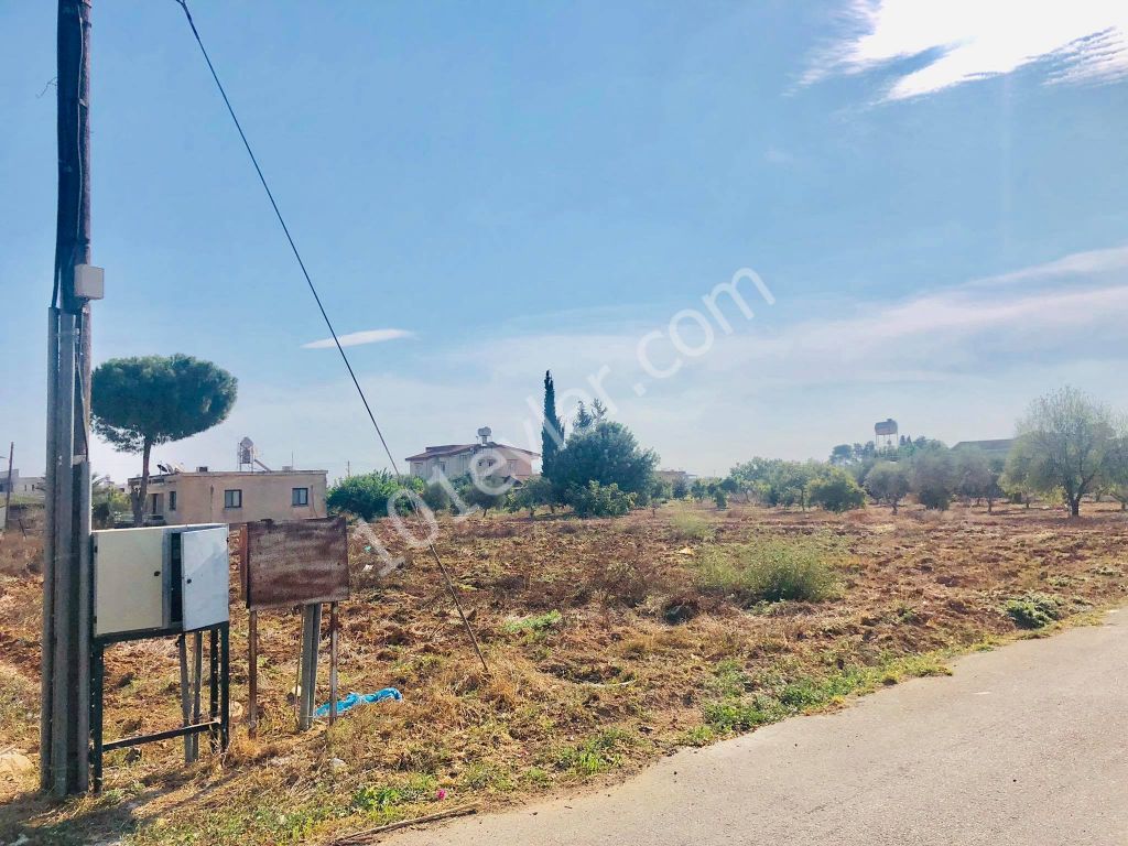 2 DECARES OF LAND FOR SALE IN MORMENEKSHEDE QUALIFIED FIELD ** 