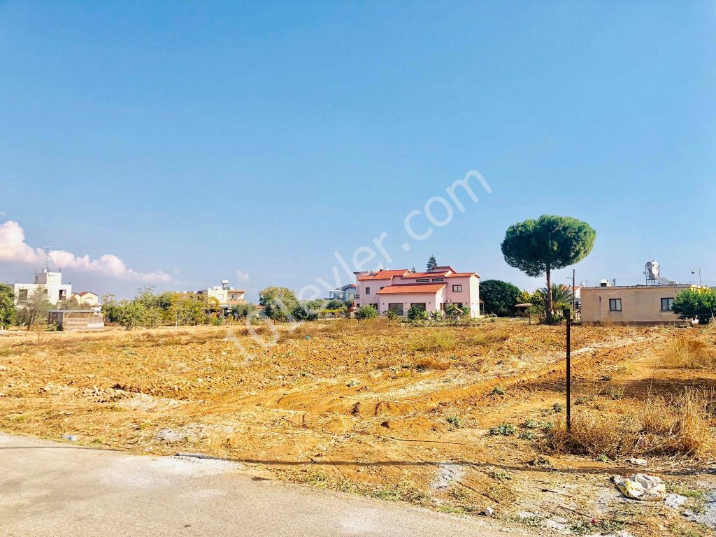 2 DECARES OF LAND FOR SALE IN MORMENEKSHEDE QUALIFIED FIELD ** 