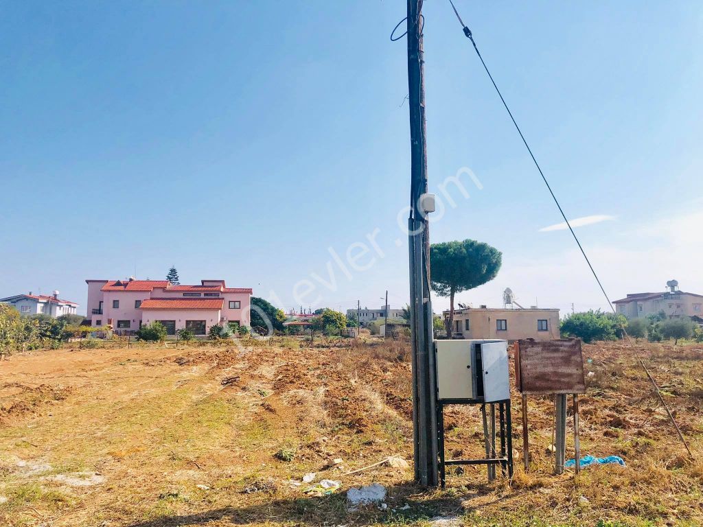 2 DECARES OF LAND FOR SALE IN MORMENEKSHEDE QUALIFIED FIELD ** 