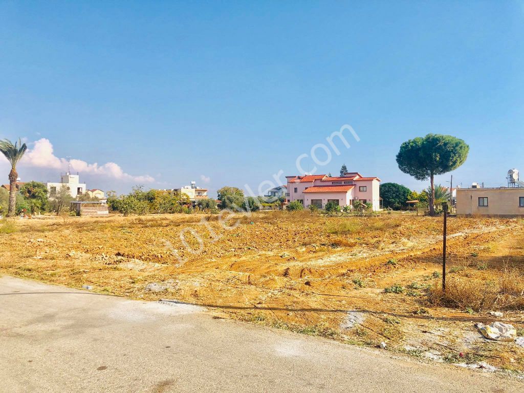 2 DECARES OF LAND FOR SALE IN MORMENEKSHEDE QUALIFIED FIELD ** 