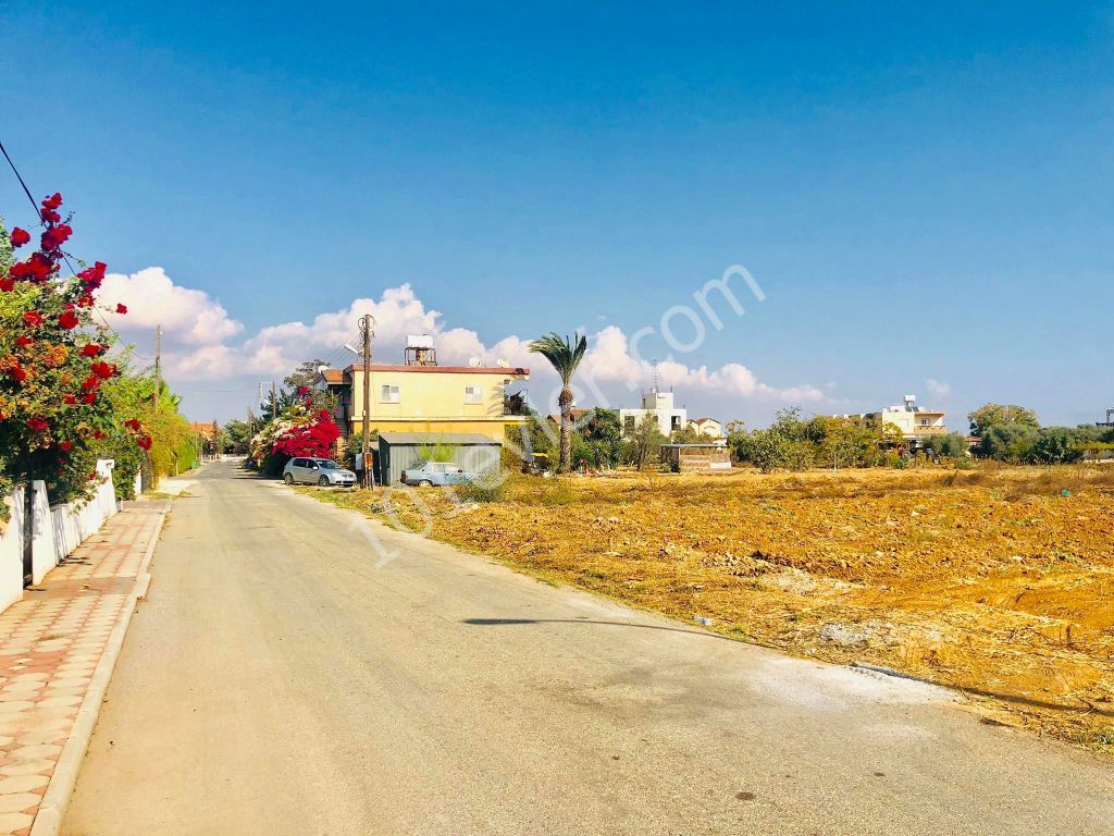 2 DECARES OF LAND FOR SALE IN MORMENEKSHEDE QUALIFIED FIELD ** 