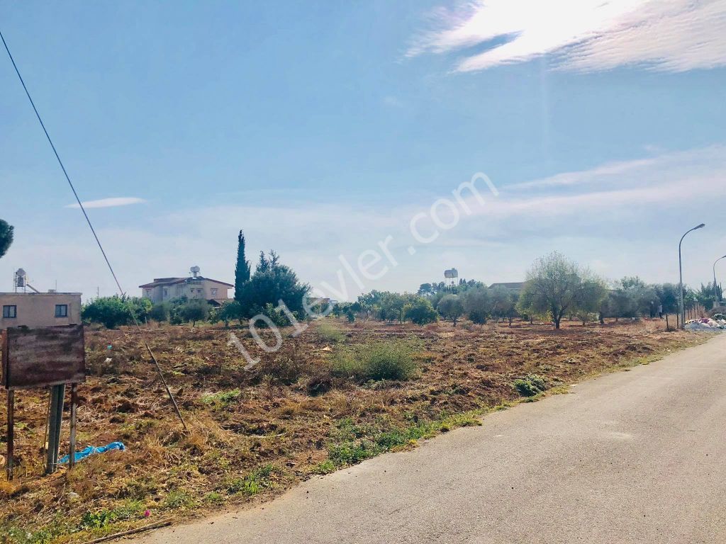 2 DECARES OF LAND FOR SALE IN MORMENEKSHEDE QUALIFIED FIELD ** 