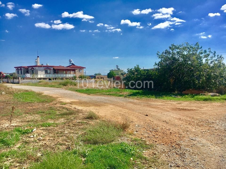 TURKISH COACH DEC LAND FOR SALE SUITABLE FOR VILLA CONSTRUCTION IN ISKELE BOGAZTEPE ** 