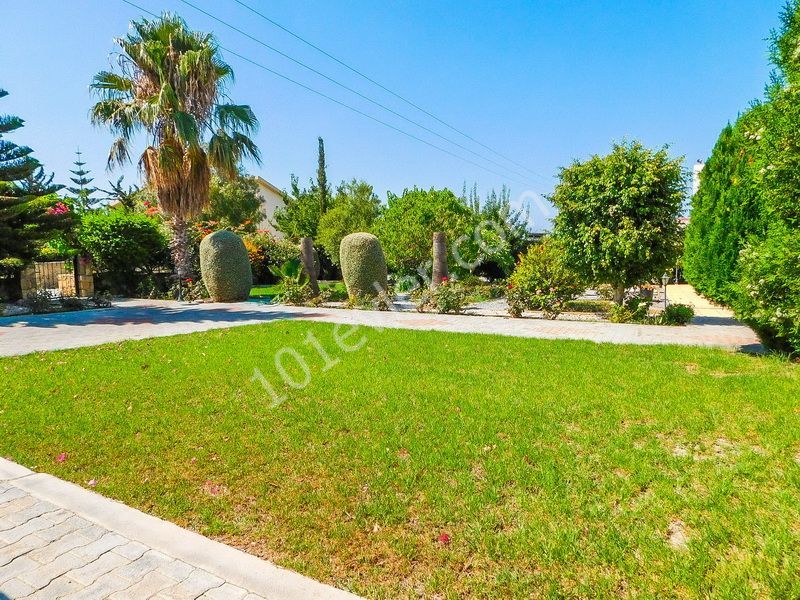 3-bedroom villa with swimming pool + Landscaped garden + mountain and sea views for sale in Alsancak Kocan is named after its owner. K.D.V Has Been Paid ** 