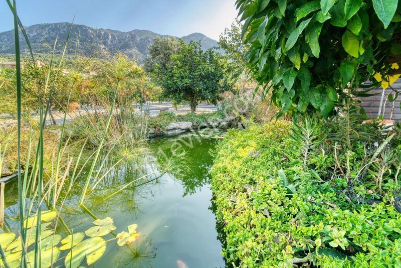 Villa For Sale in Lapta, Kyrenia