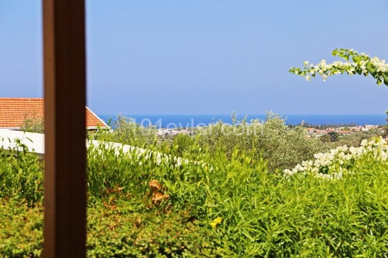 Beautiful 3 Bedroom Bungalow with Shared Pool - In the Traditional Cypriot Village of Ozankoy, Close to the English School of Kyrenia